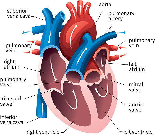 Atrium Health